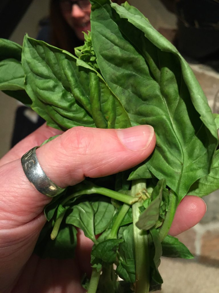 handful of basil