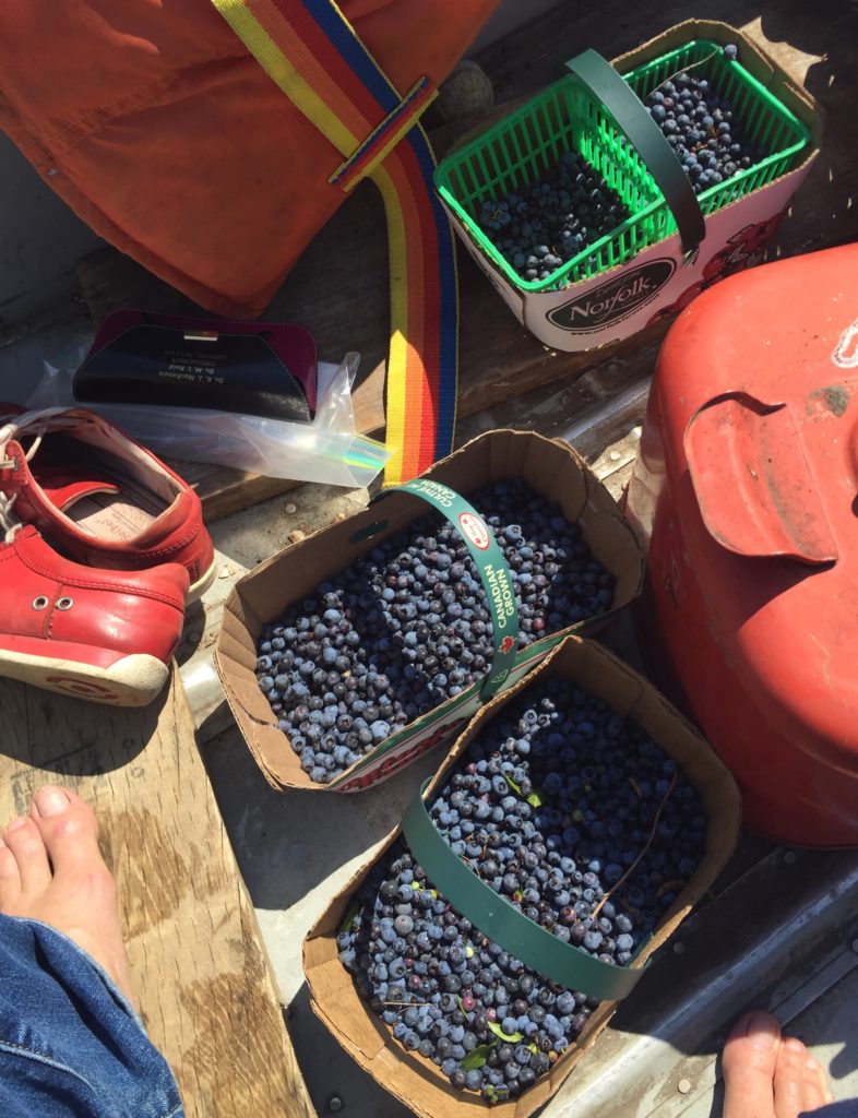 Berries in the boat