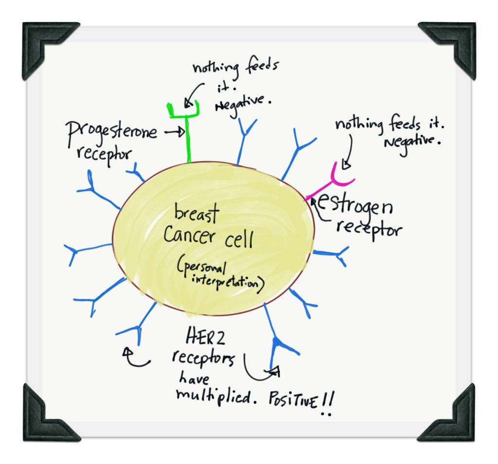 breast cancer cell