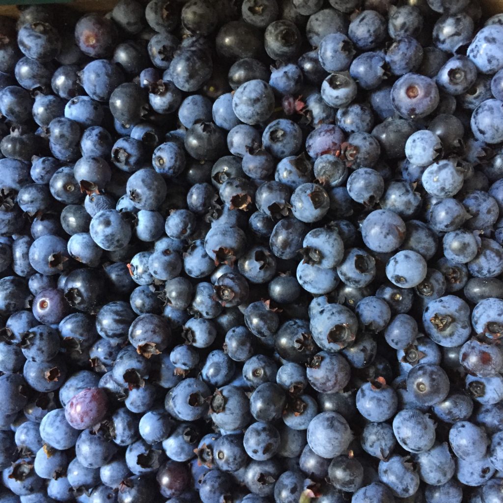 Blueberries